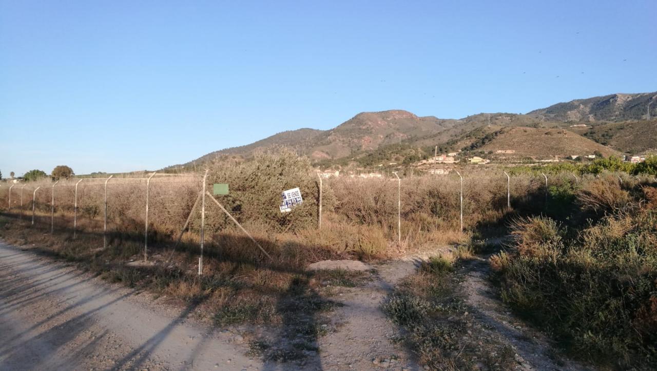 02-04-2019_Foto 12-3-19 19 15 40 - copia.jpg